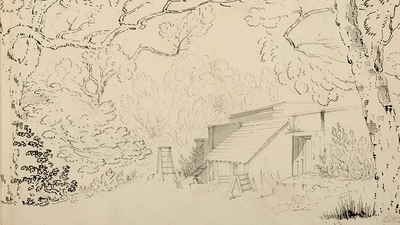 Sketch of the Kitchen Garden at Cannon Hall showing a shed and trees
