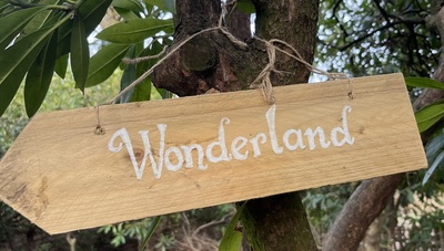 Wonderland trail