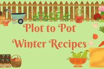 Plot to pot winter recipes poster with images of vegetables and wheelbarrows