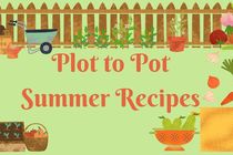 Plot to pot summer recipes poster with images of vegetables and wheelbarrows