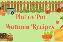 Plot to pot autumn recipes poster with images of vegetables and wheelbarrows