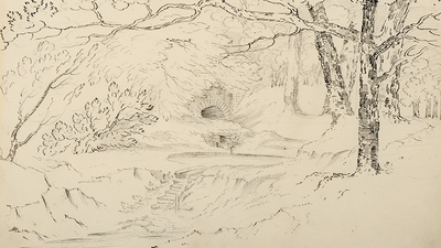 Sketch of Spring in the pleasure grounds at Cannon Hall showing trees and bushes