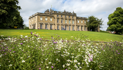 Cannon Hall Park and Gardens celebrated as one of the best green spaces