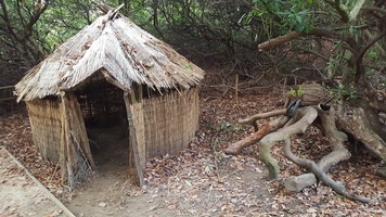 Saxon hut. A woven hut with thatched roof, big enough for children to get inside.