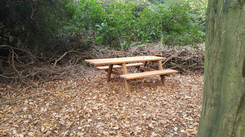 Accessible picnic benches in the Discovery area 