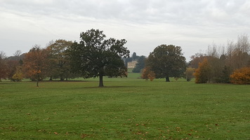 Parkland. A large green space dotted with trees and Cannon Hall just visible in the distance.