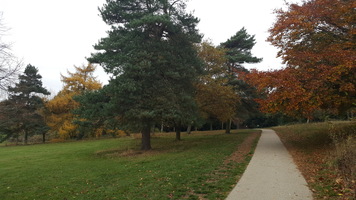 Parkland. A path leading to the right hand side of the green parkland, lined with trees.