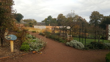 Walled garden. Showing paths, plants and a greenhouse in the background. 