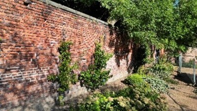 Historic garden wall Cannon Hall parklands to be saved