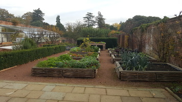Walled garden vegetable plots growing leaks, potatoes and other vegetables.  