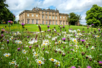 Long distance shot of Cannon Hall from a worm's eye view, with purple and white flowers in the foreground