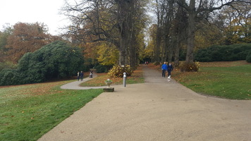 Route to the car park from the Hall. One path leading straight on and one winding to the left. Both return to the car park. 