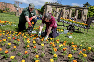 Volunteers maintaining the grounds at Cannon Hall.