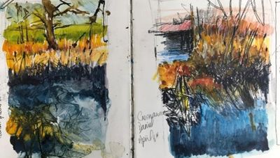 More than a Walk in the Park A drawing & painting workshop with artist Philippa Ashworth